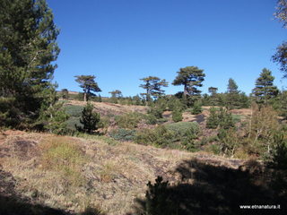 rrente Quarantore-01-11-2012 10-48-53
